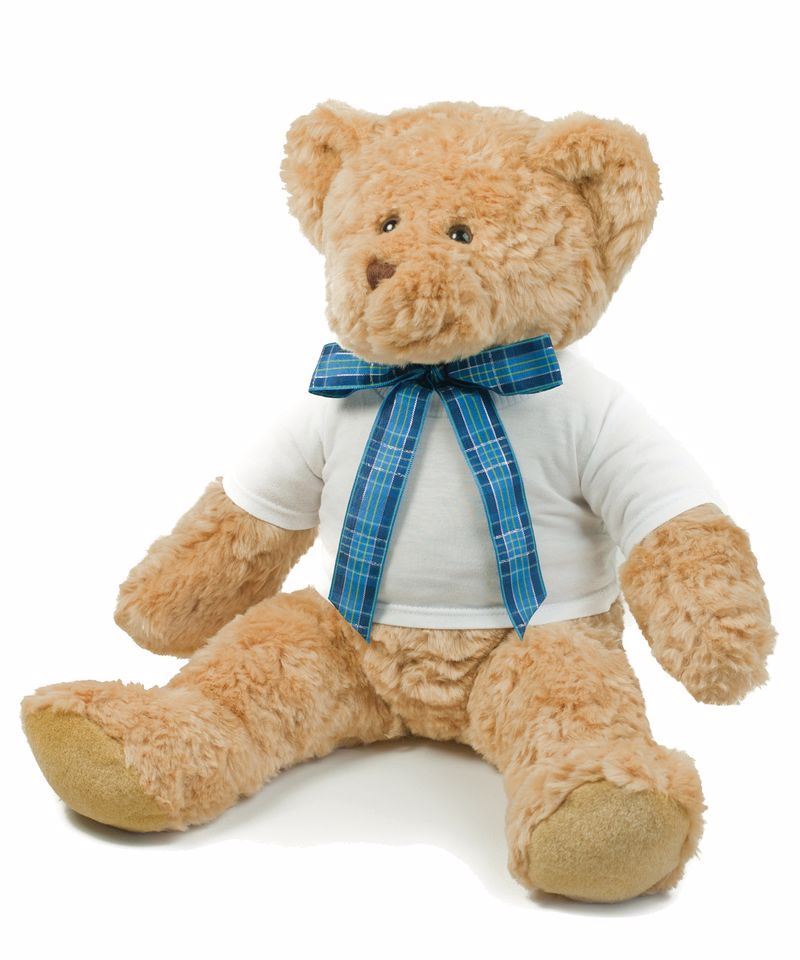 teddy bear with blue shirt