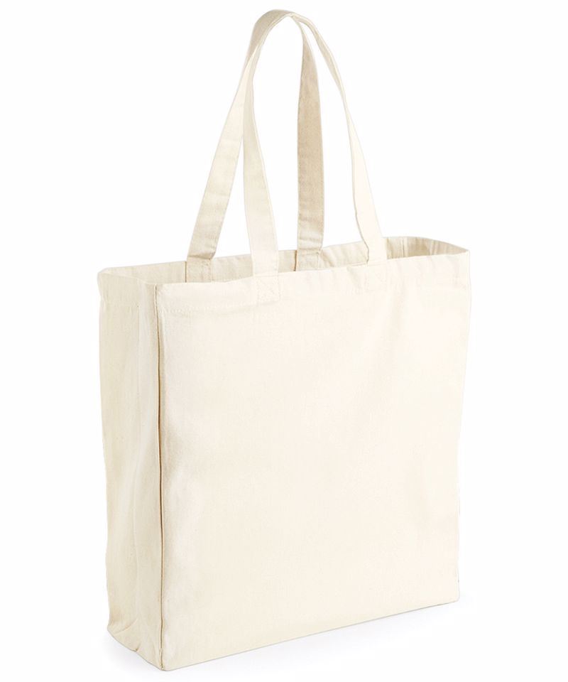 day structure canvas shopper